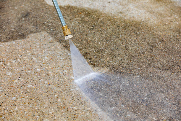 Best Soft Washing for Delicate Surfaces in Candlewick Lake, IL